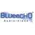 Blueecho Systems Blueecho
